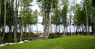 View of life, one perspective